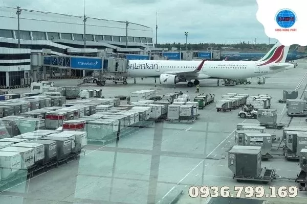 Nhu cầu vận chuyển hàng đi Mỹ ngày càng gia tăng