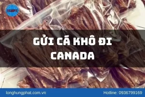 Gửi cá khô đi Canada