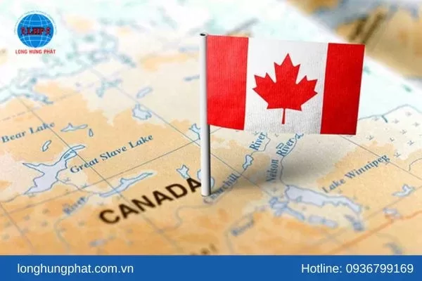 Long Hưng Phát đơn vị gửi thuốc đi Canada uy tín hàng đầu