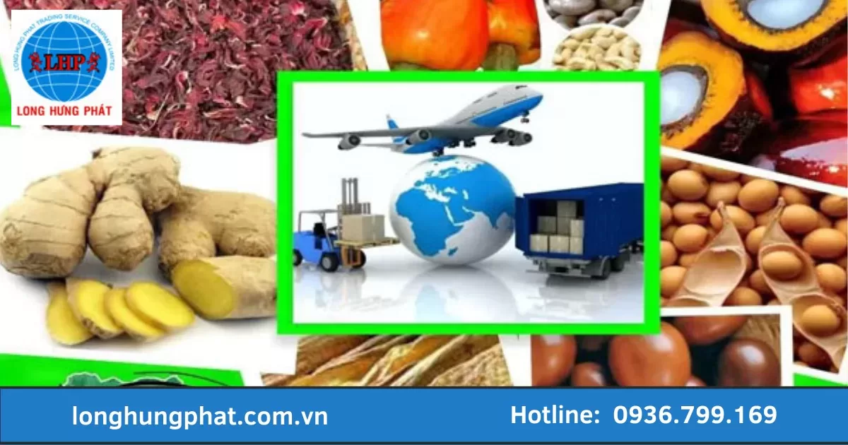 gửi đi Mỹ tại quận Ninh Kiều gửi đi Mỹ tại quận Ninh Kiều