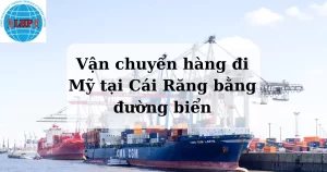 vận chuyển hàng đi Mỹ tại Cái Răng nhanh chóng