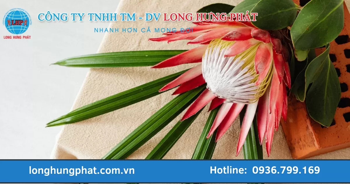 Gửi hoa nhựa đi Mỹ